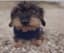M. Broffel Profilbild