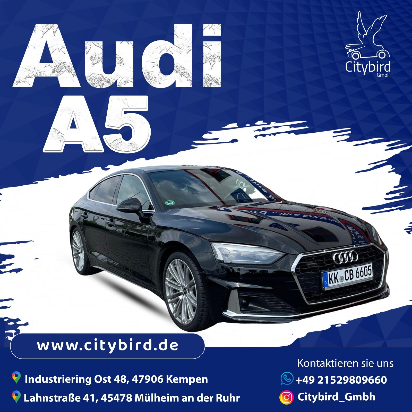 Auto mieten Audi A5 Sportback 40 TDI Q ADVANCED Bild 5