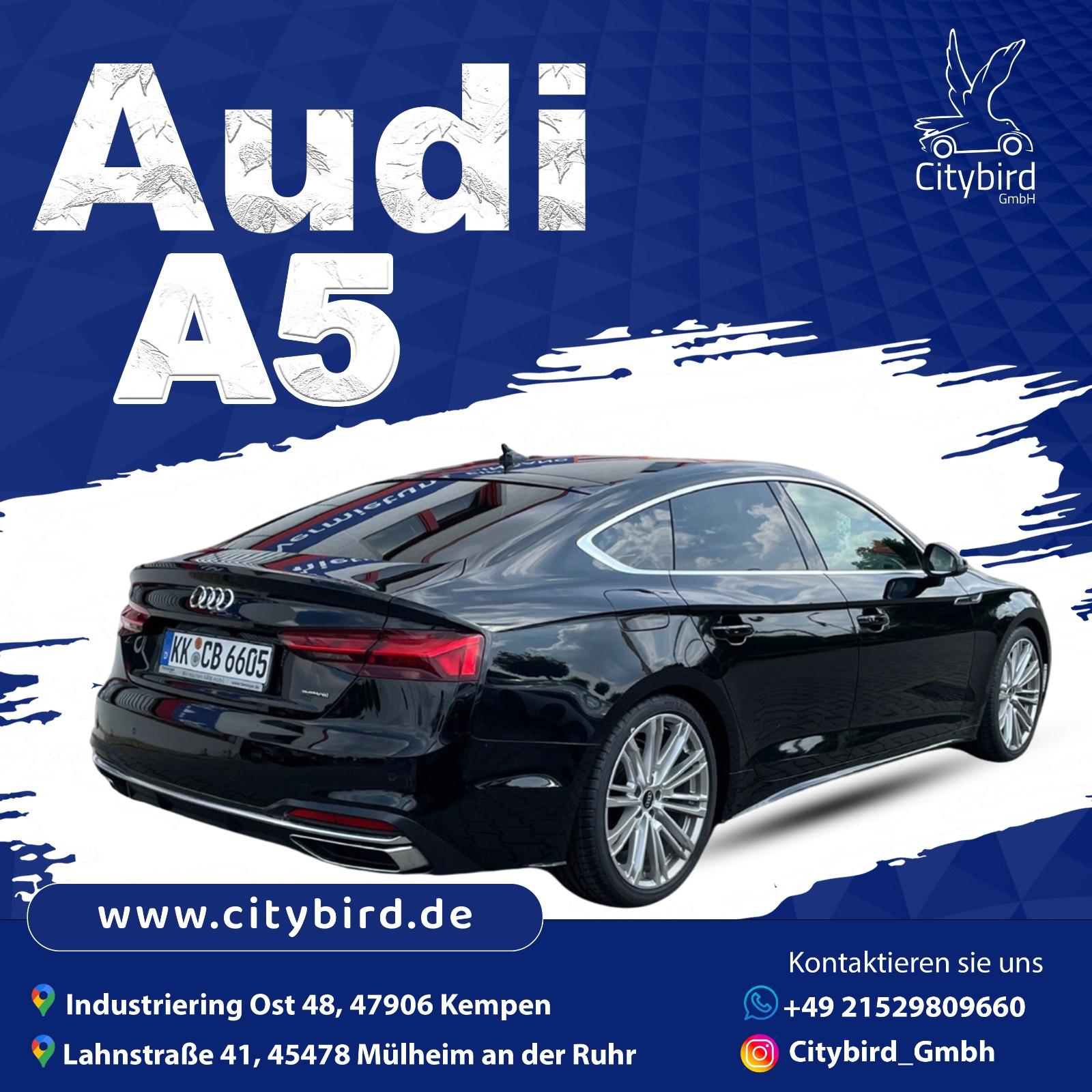 Auto mieten Audi A5 Sportback 40 TDI Q ADVANCED Bild 4