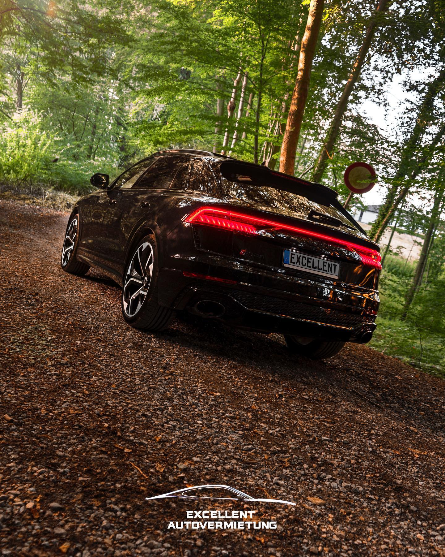 Audi RSQ8 Bild 4
