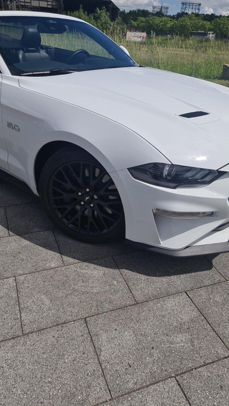 Ford Mustang 5.0 V8 450 PS Cabrio Mietwagen Bild 5