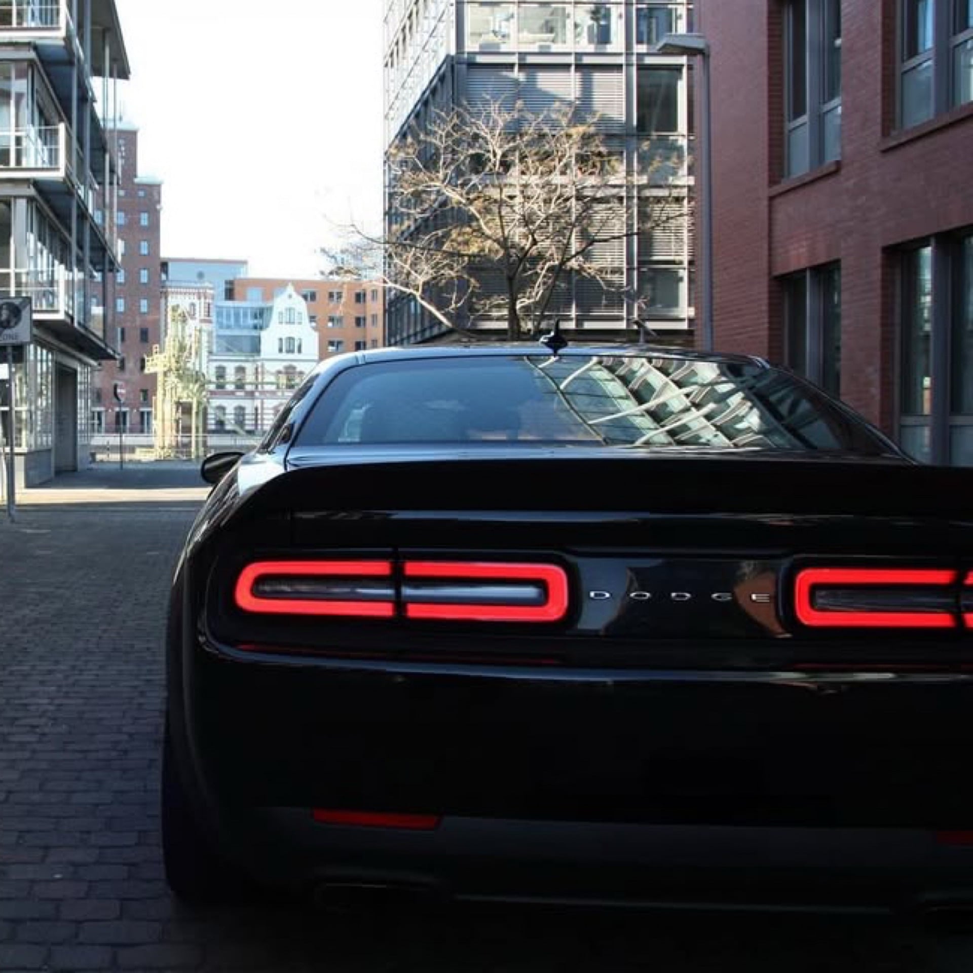 Dodge Challenger RT mieten in Krefeld Bild 6