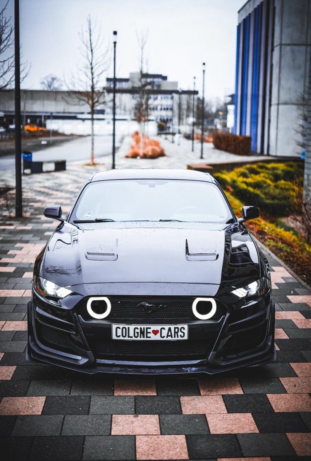 Ford Mustang GT mieten | Hochzeitsauto mieten Bild 3