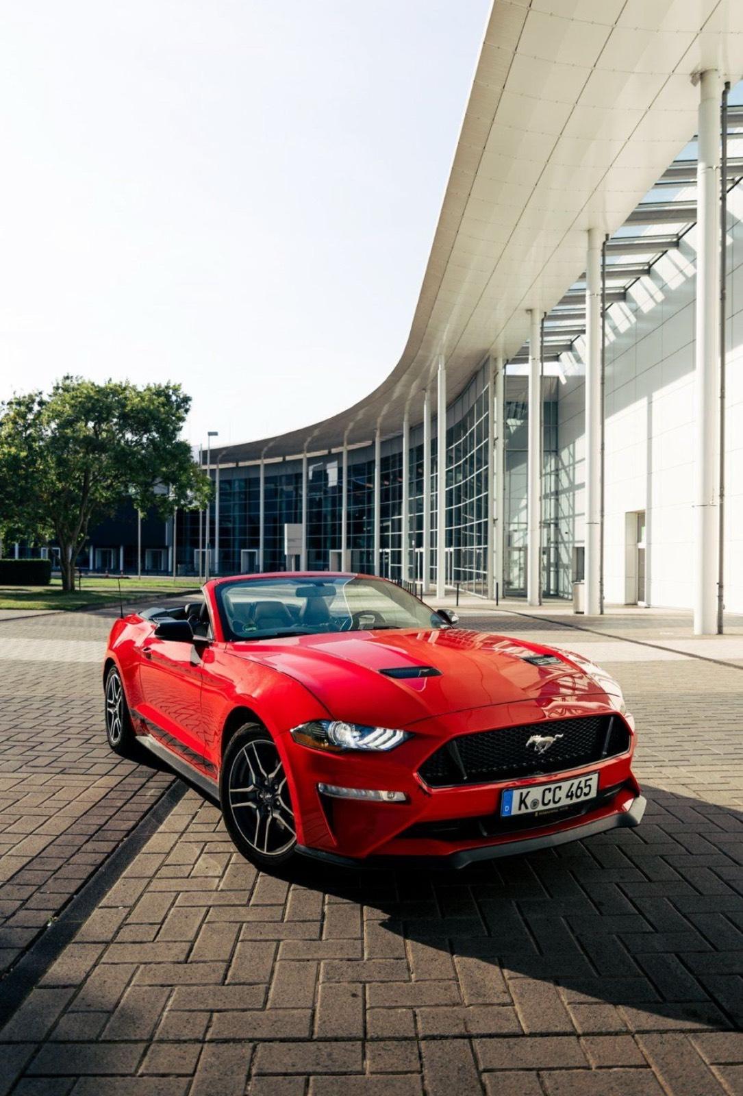 SONDERANGEBOT Mustang GT Cabrio | Sportwagen | Hochzeitsauto Bild 2
