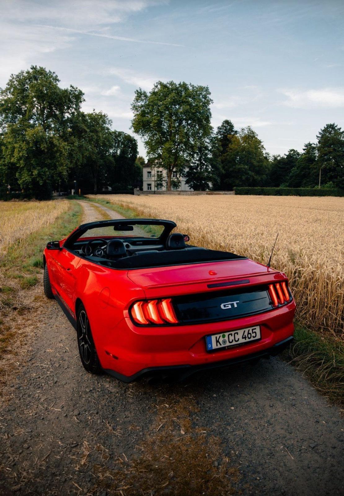 SONDERANGEBOT Mustang GT Cabrio | Sportwagen | Hochzeitsauto Bild 3