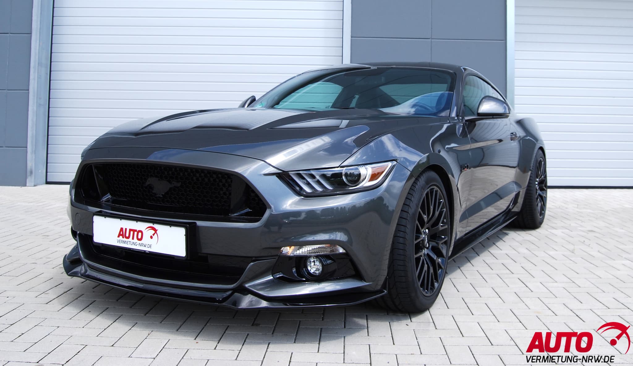 Ford Sport